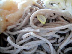 石丸製麺 本そば（山芋入り）　冷しおろし (3).JPG